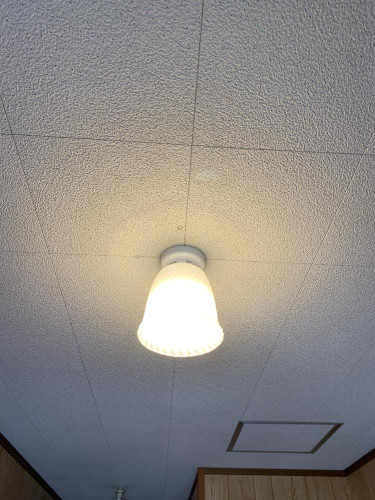 17013148-C4AD-41BD-846F-553046EAD692.jpeg