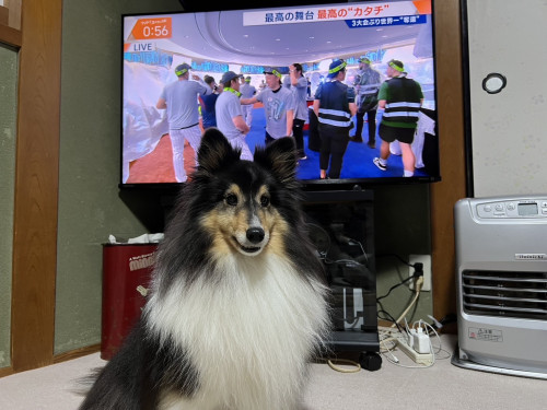6C296707-053E-483E-8897-32902ABFBAF6.jpeg