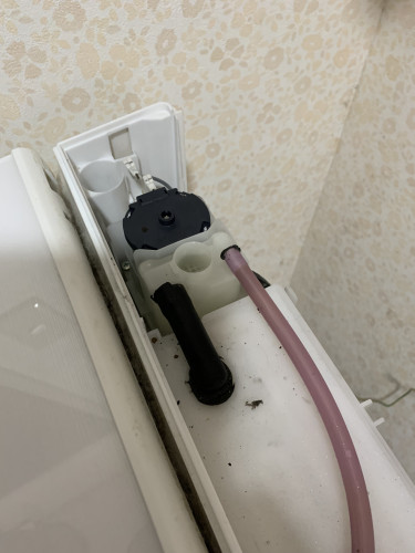 0F3BCCDC-73B7-43FE-935E-C3098F918FE3.jpeg