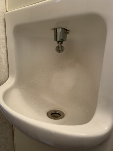 8C59DBDA-AE1D-4AC9-8FB9-71213930EDFE.jpeg