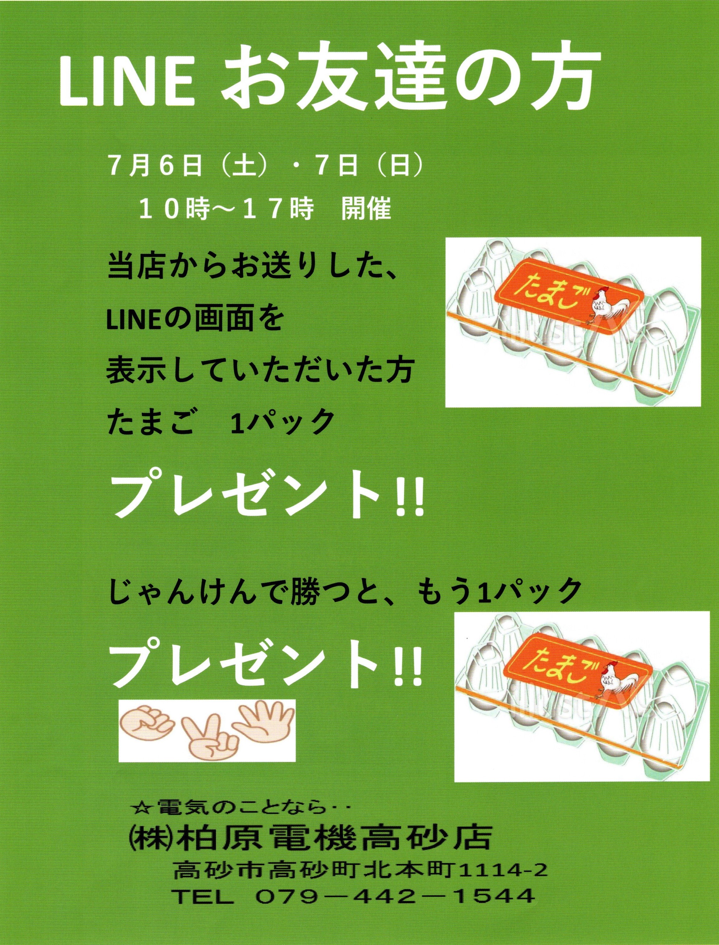 個展卵1.jpg