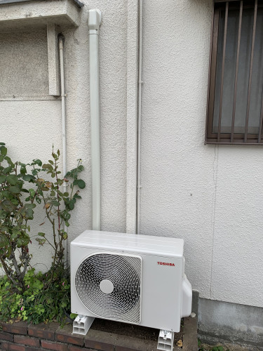 IMG_3523.jpeg