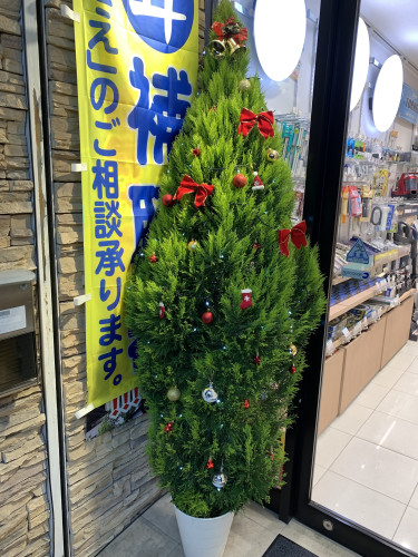 IMG_3539.jpeg
