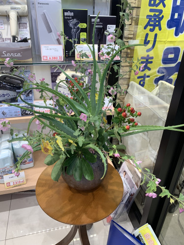 IMG_3540.jpeg
