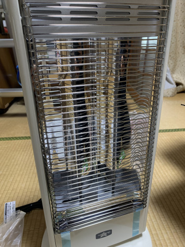 IMG_3596.jpeg