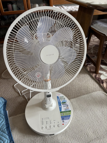 IMG_3695.jpeg