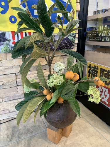 IMG_3793.jpeg