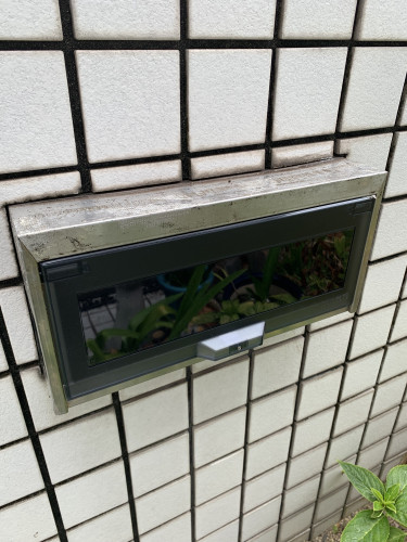 IMG_3855.jpeg
