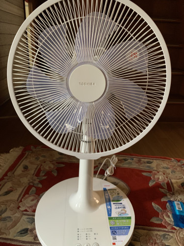 IMG_3884.jpeg