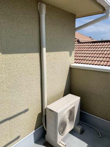 IMG_3899.jpeg