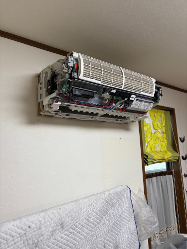 IMG_3913.jpeg