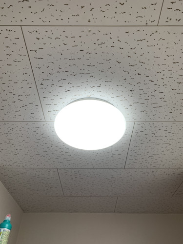 IMG_4017.jpeg