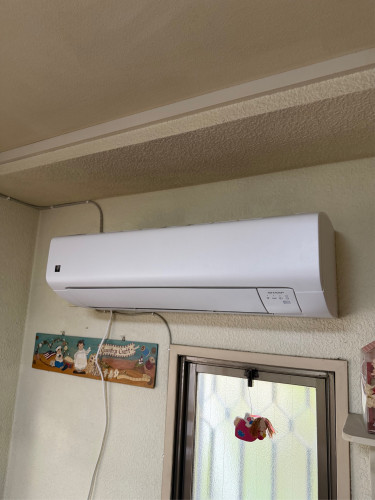 IMG_4113.jpeg