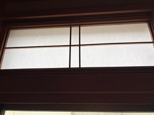 IMG_4155.jpeg