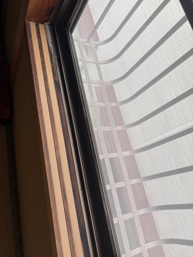 IMG_4156.jpeg