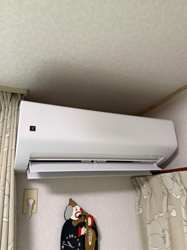 IMG_4191.jpeg