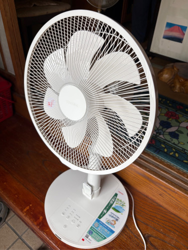 IMG_4239.jpeg