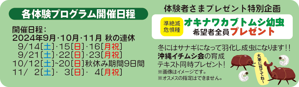 【秋の連休特別企画】ノートパソコン分解 体験プログラム日程と幼虫プレゼント企画