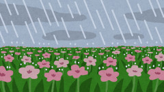 bg_rain_natural_flower.jpg