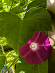 PXL_20250906_215225431-1.jpg