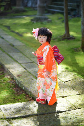 D5D_5102.jpg