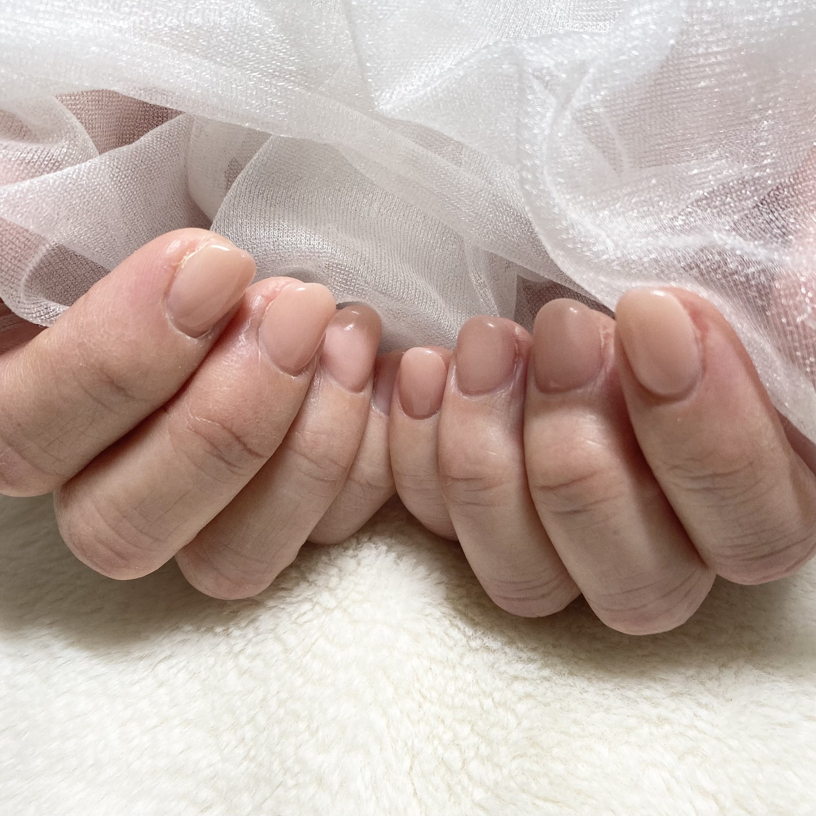 艶ぷるワンカラー