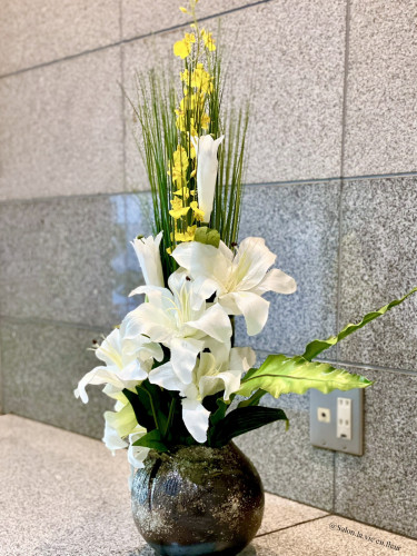 （１）文京区小石川.jpg