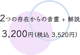 初めての方限定お試し料金 2つの存在からの音霊+解説 3200円(税込3520円)