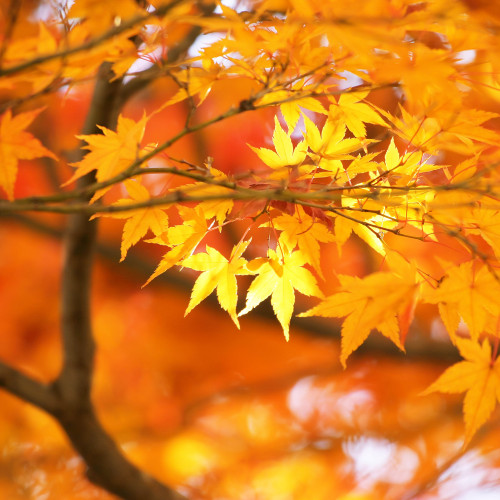 ＊本日営業♬😊＊