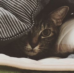 87919D40-B052-4CBA-AC73-A48950304F2B.jpeg