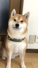 228785A2-1B3D-4CE4-BB17-D06DDB83972D.png