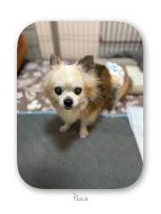 IMG_2395.jpeg