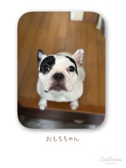 IMG_8812.jpeg