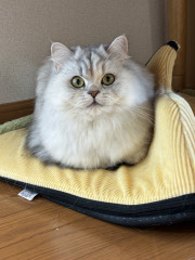 IMG_7686.jpeg