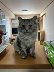 IMG_7683.jpeg