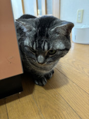 IMG_7681.jpeg