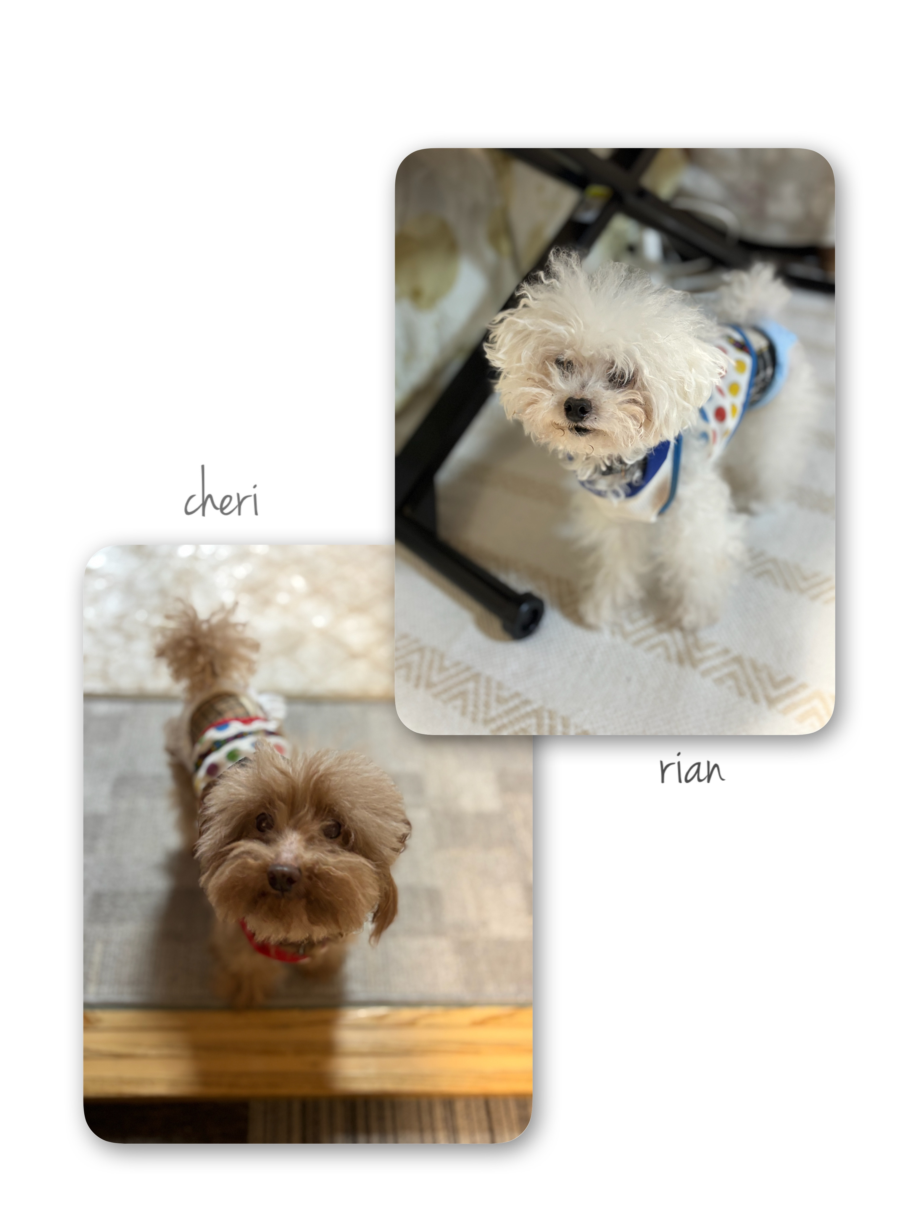 IMG_1374.jpeg