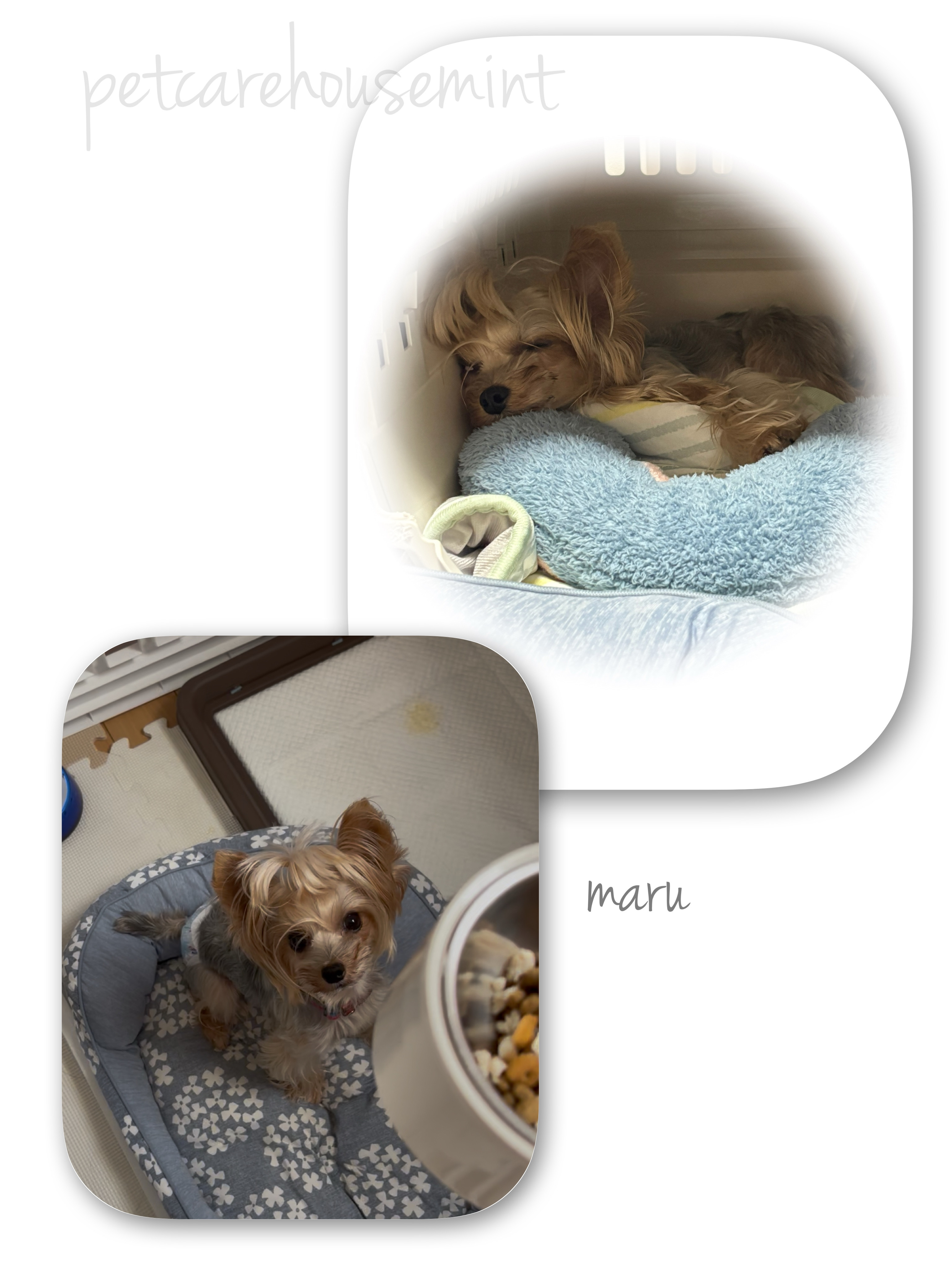 IMG_1153.jpeg