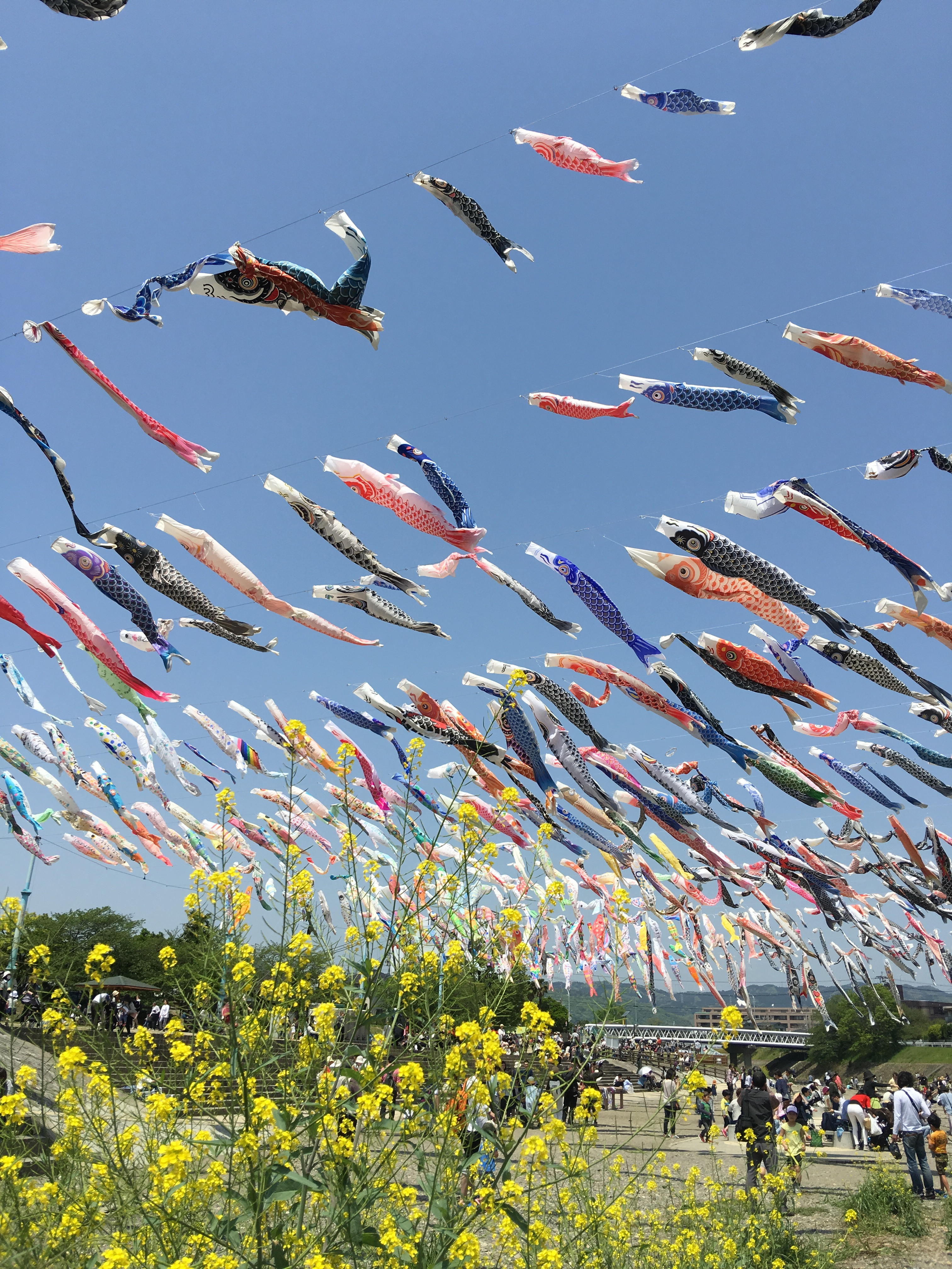 ゴールデンウィークのご予約について