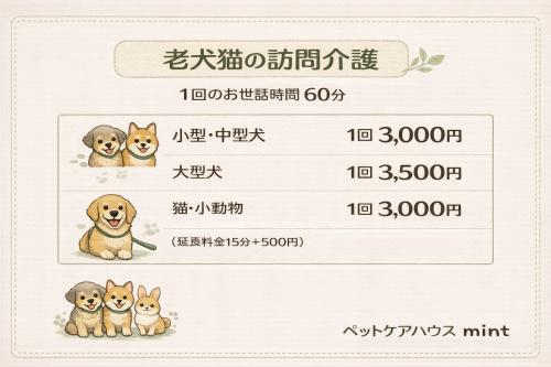 2EAFBE5A-7F6E-4896-8288-2534BB5EF578.png