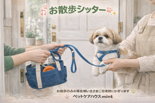 75BD35AE-F9E9-4E00-B217-EDA89B555C80.png