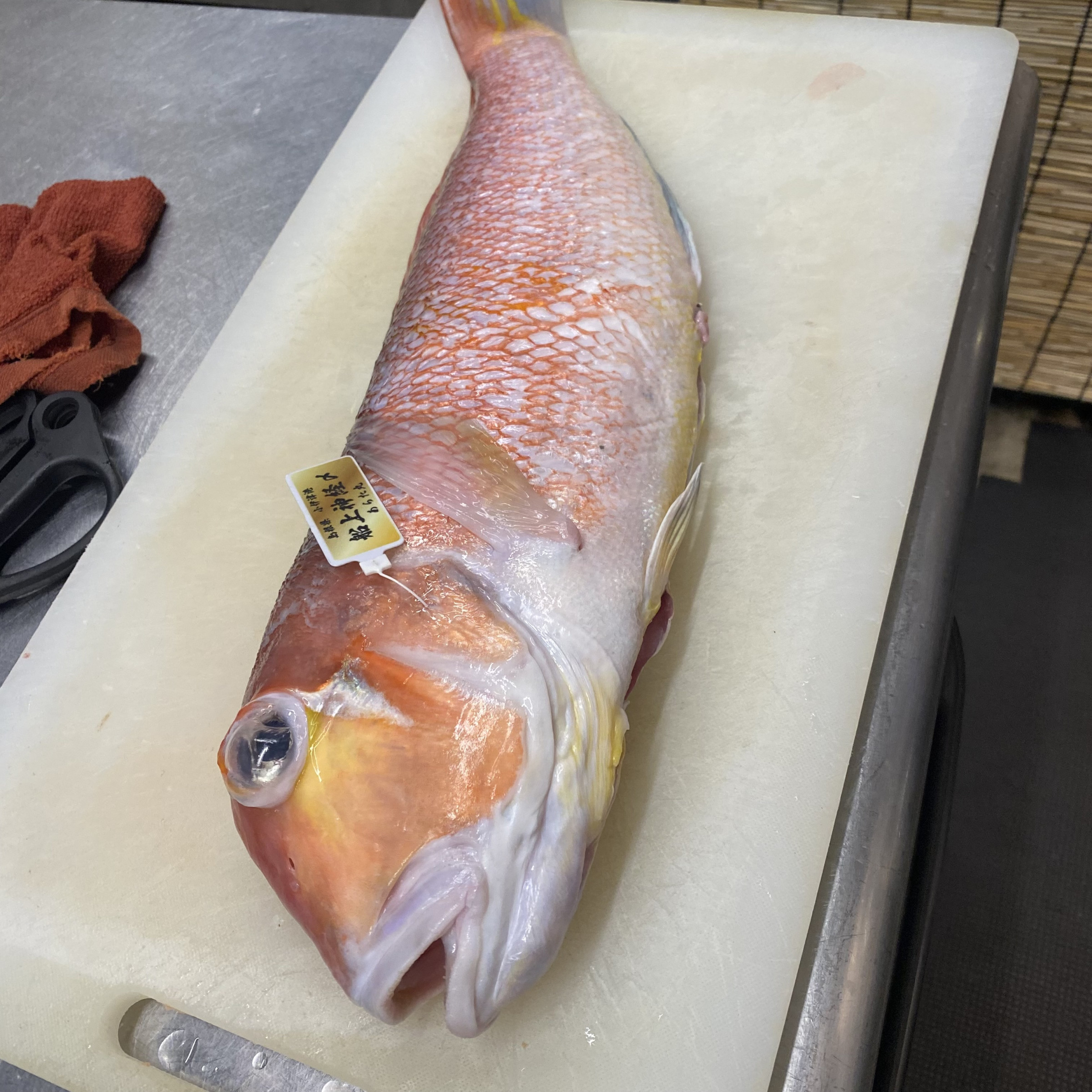 神経締め赤甘鯛