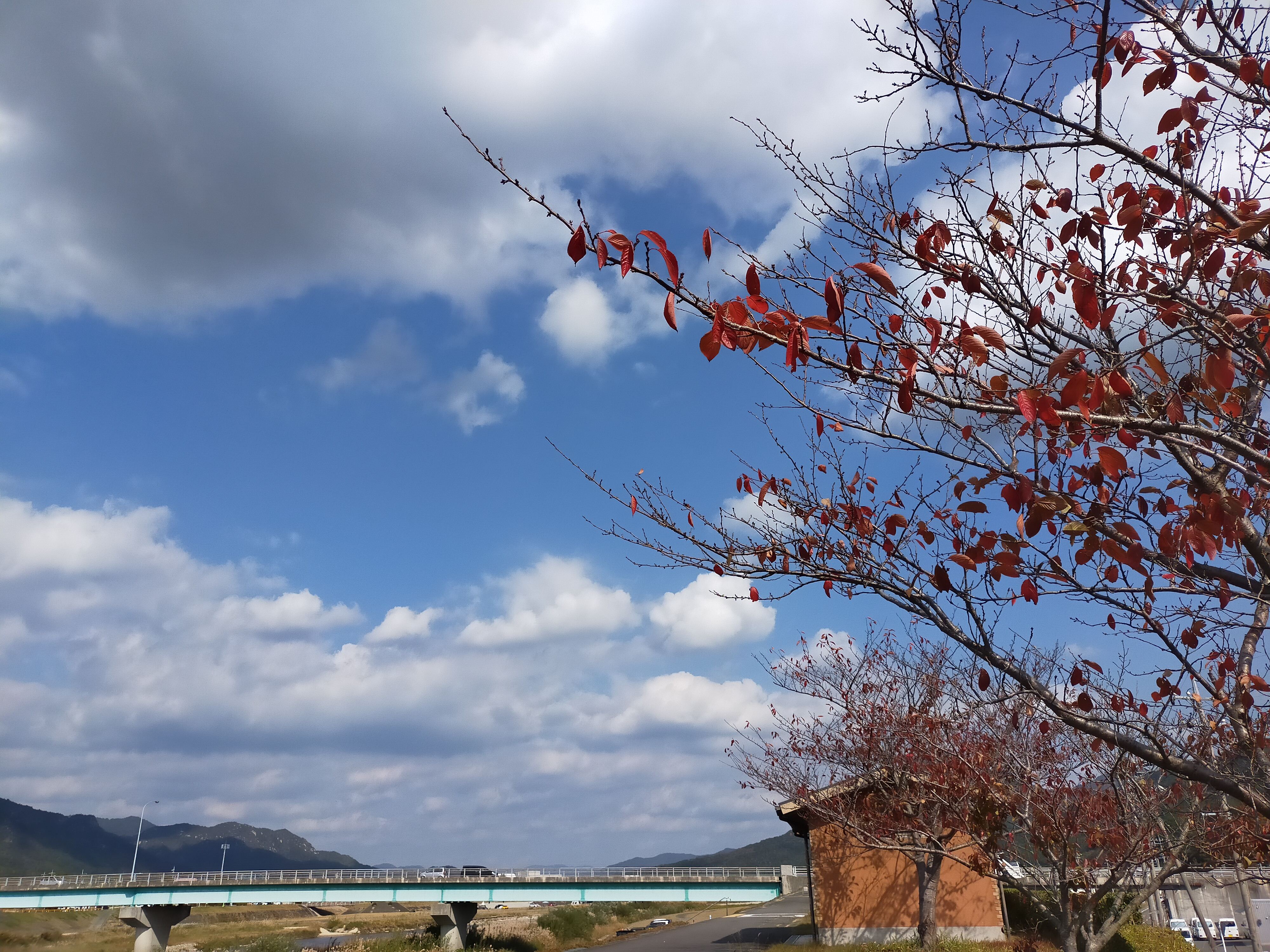 12月カレンダー更新いたしました