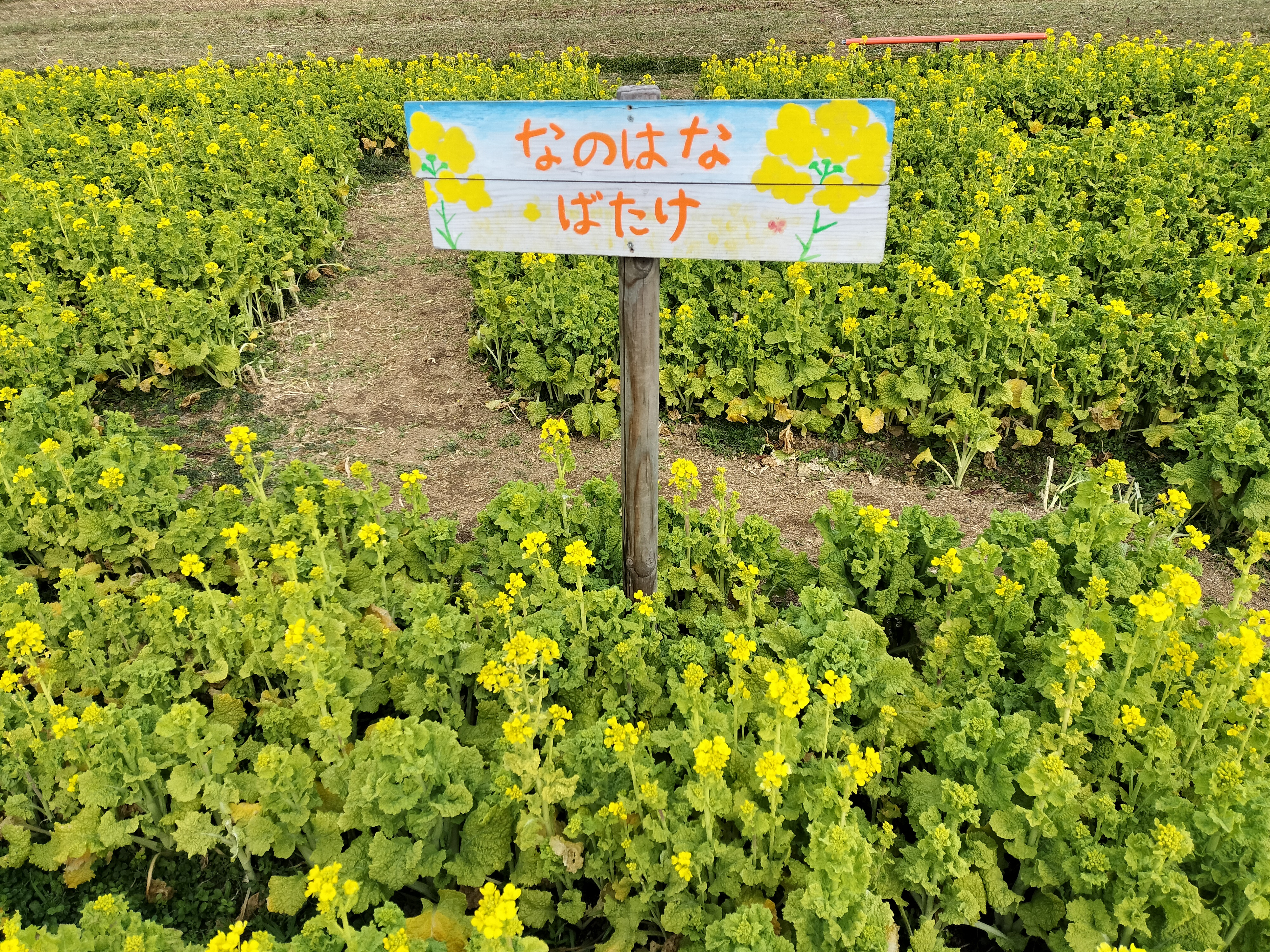 3月カレンダー更新いたしました✨