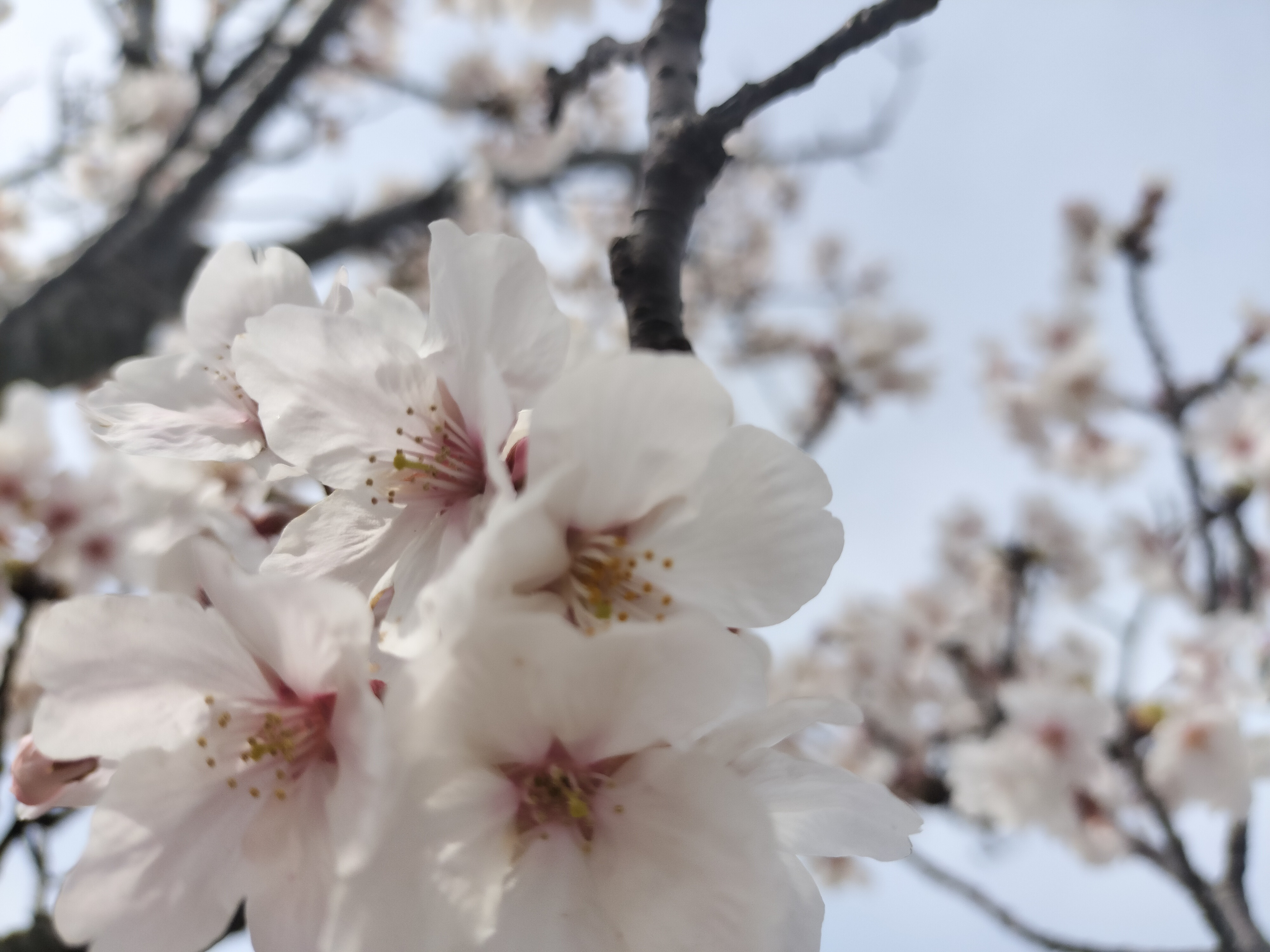 5月カレンダー更新いたしました✨