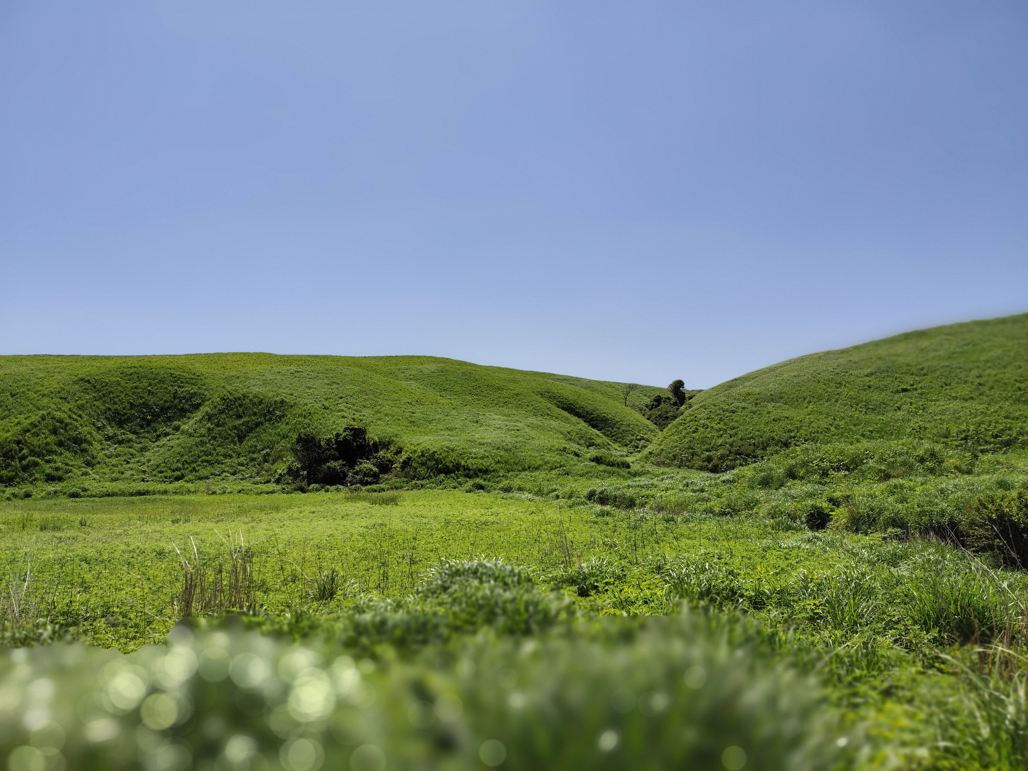 7月カレンダー更新いたしました✨