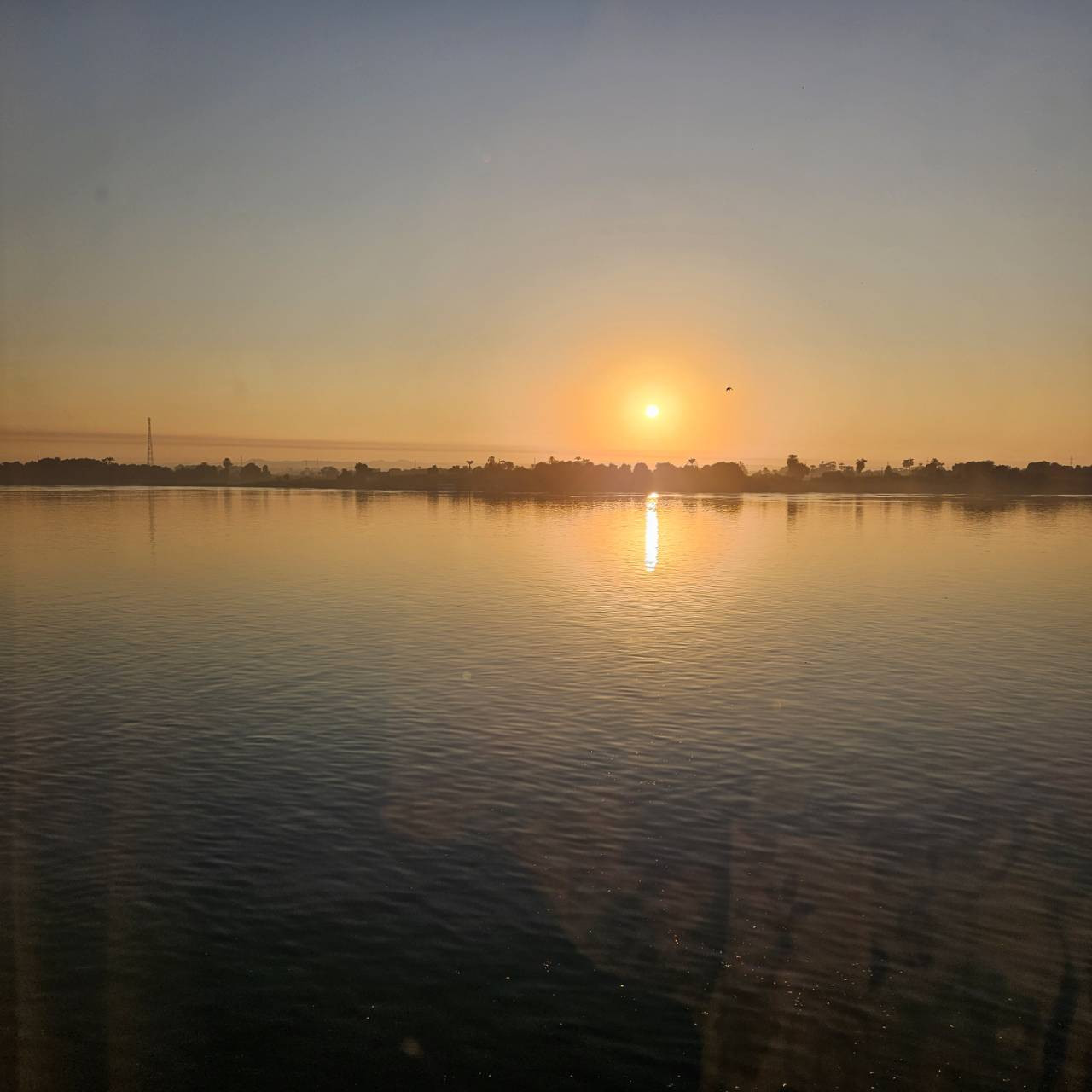 8月のカレンダーを更新いたしました✨