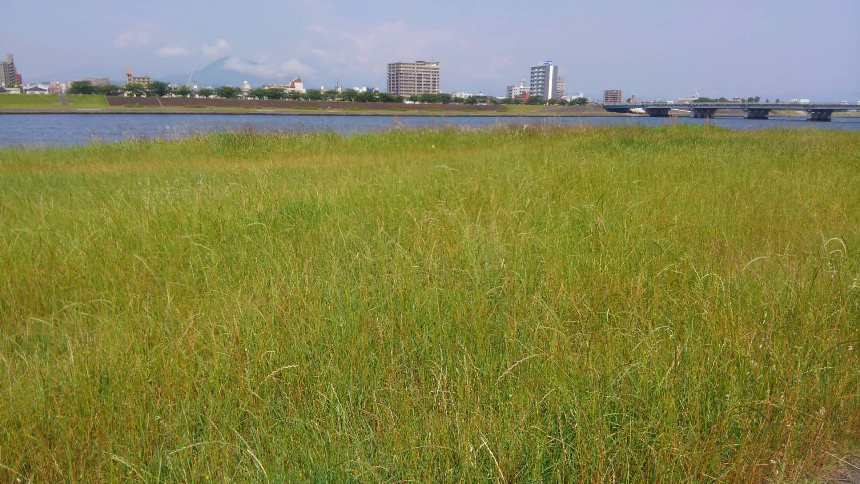 11月カレンダー更新いたしました✨