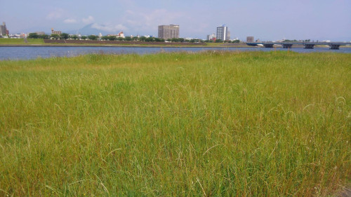 11月カレンダー更新いたしました✨