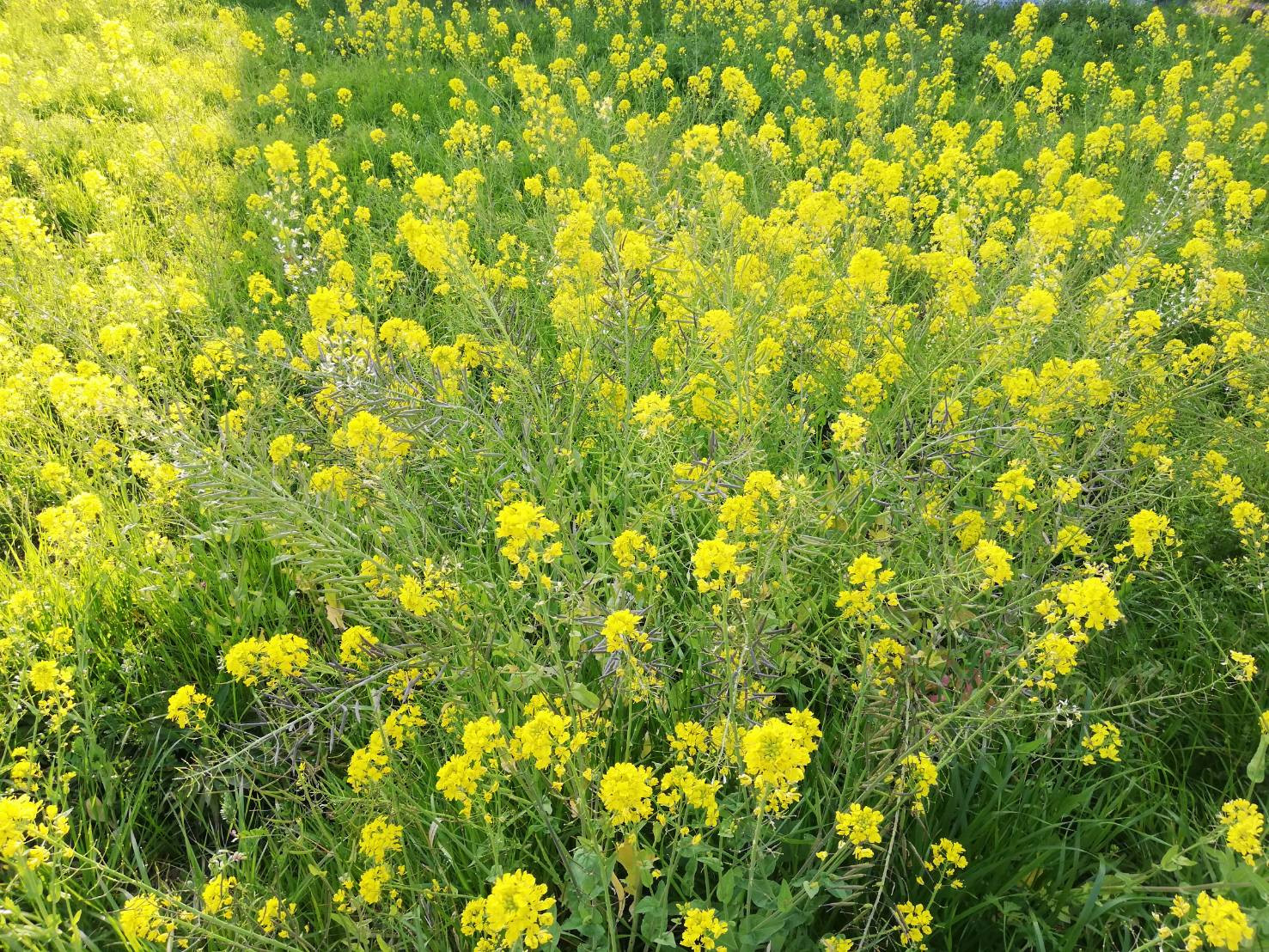 4月カレンダー更新いたしました✨